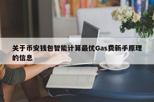 关于币安钱包智能计算最优Gas费新手原理的信息-第1张图片-币选网