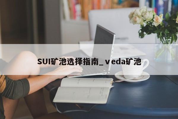 SUI矿池选择指南_ⅴeda矿池-第1张图片-币选网