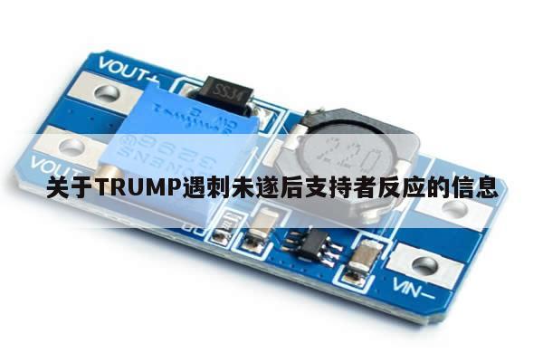 关于TRUMP遇刺未遂后支持者反应的信息-第1张图片-币选网