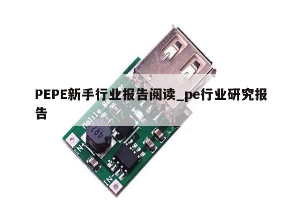 PEPE新手行业报告阅读_pe行业研究报告-第1张图片-币选网