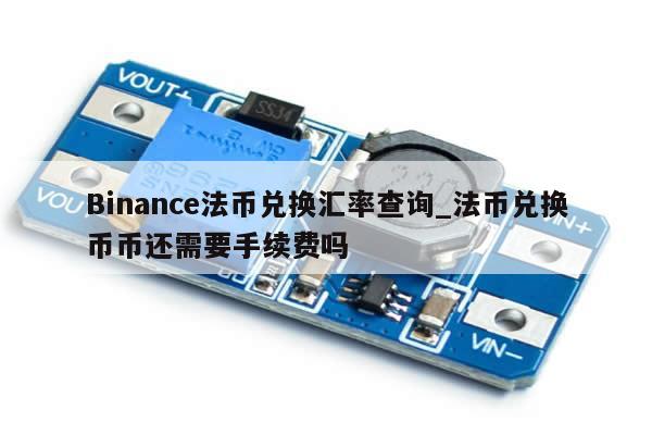 Binance法币兑换汇率查询_法币兑换币币还需要手续费吗-第1张图片-币选网