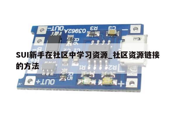 SUI新手在社区中学习资源_社区资源链接的方法-第1张图片-币选网
