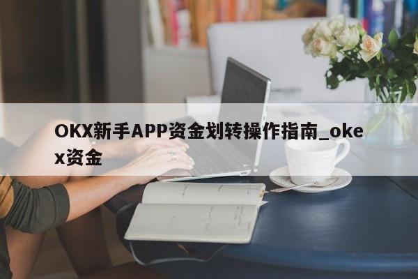 OKX新手APP资金划转操作指南_okex资金-第1张图片-币选网
