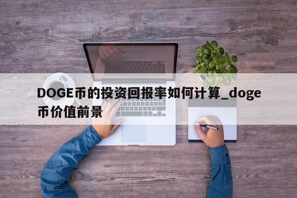 DOGE币的投资回报率如何计算_doge币价值前景-第1张图片-币选网