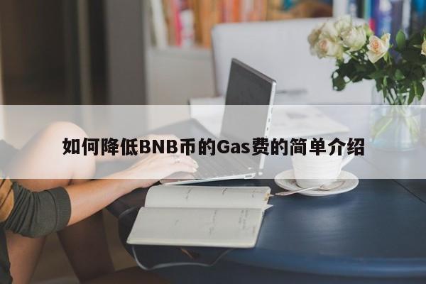 如何降低BNB币的Gas费的简单介绍-第1张图片-币选网 如何降低BNB币的Gas费的简单介绍-第1张图片-币选网