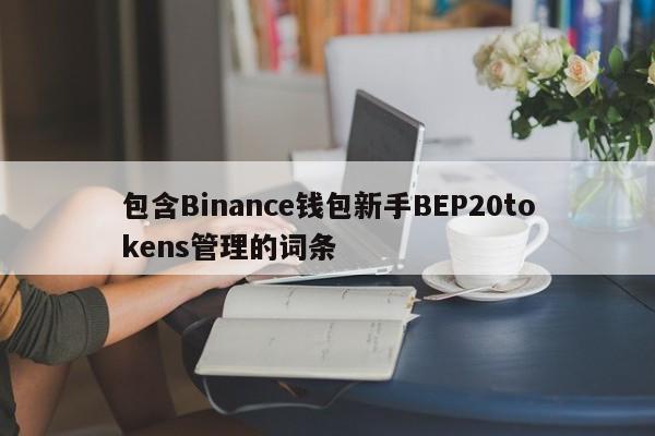 包含Binance钱包新手BEP20tokens管理的词条-第1张图片-币选网