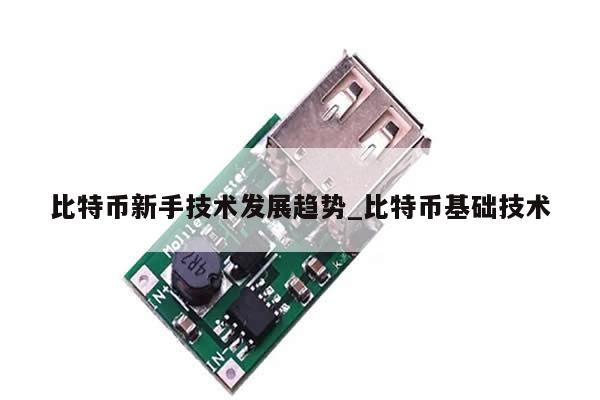 比特币新手技术发展趋势_比特币基础技术-第1张图片-币选网