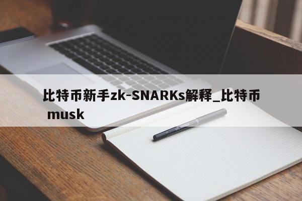 比特币新手zk-SNARKs解释_比特币 musk-第1张图片-币选网