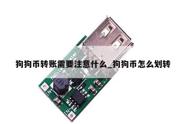 狗狗币转账需要注意什么_狗狗币怎么划转-第1张图片-币选网