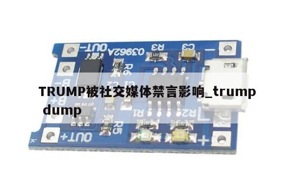 TRUMP被社交媒体禁言影响_trump dump-第1张图片-币选网