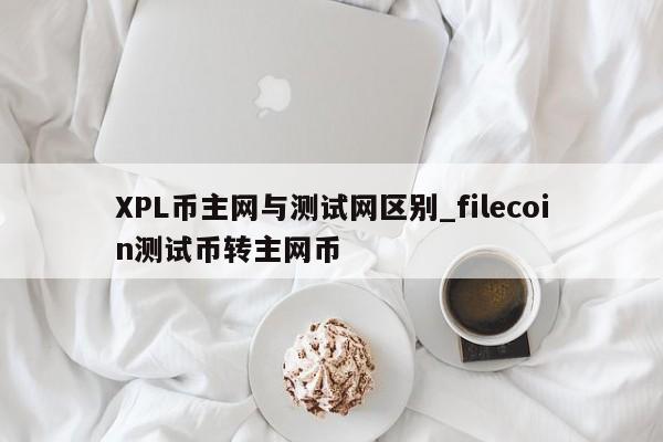 XPL币主网与测试网区别_filecoin测试币转主网币-第1张图片-币选网