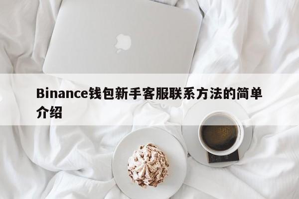Binance钱包新手客服联系方法的简单介绍-第1张图片-币选网