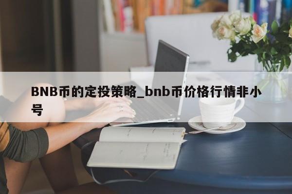 BNB币的定投策略_bnb币价格行情非小号-第1张图片-币选网