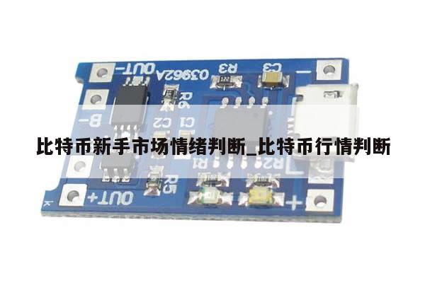 比特币新手市场情绪判断_比特币行情判断-第1张图片-币选网