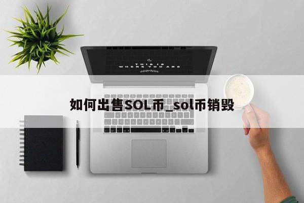 如何出售SOL币_sol币销毁-第1张图片-币选网