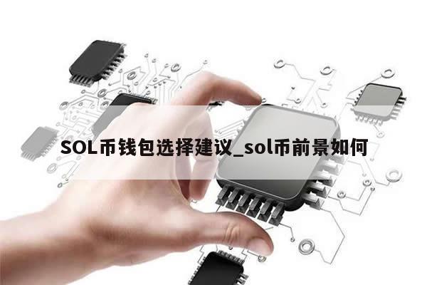 SOL币钱包选择建议_sol币前景如何-第1张图片-币选网