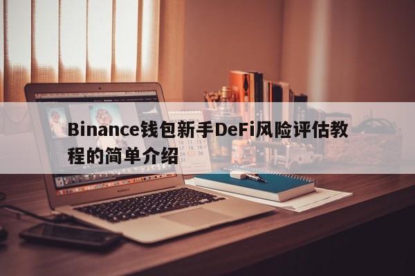 Binance钱包新手DeFi风险评估教程的简单介绍-第1张图片-币选网