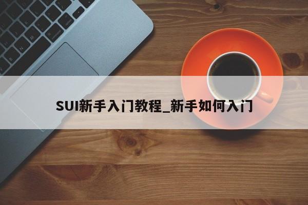 SUI新手入门教程_新手如何入门-第1张图片-币选网