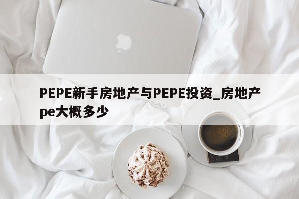 PEPE新手房地产与PEPE投资_房地产pe大概多少-第1张图片-币选网