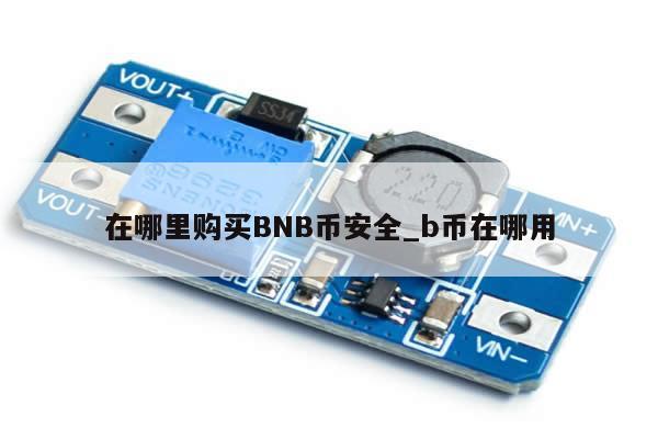 在哪里购买BNB币安全_b币在哪用-第1张图片-币选网