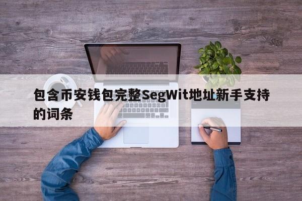 包含币安钱包完整SegWit地址新手支持的词条-第1张图片-币选网