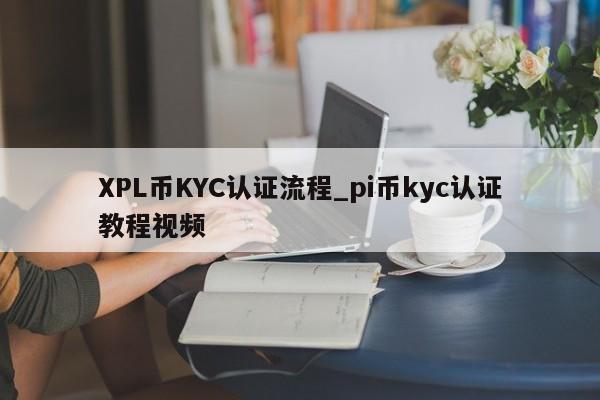 XPL币KYC认证流程_pi币kyc认证教程视频-第1张图片-币选网