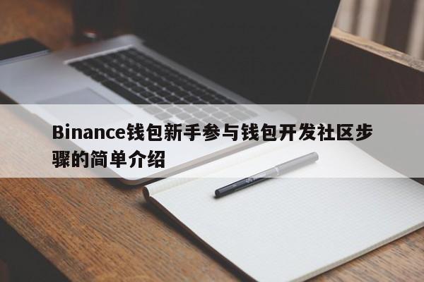 Binance钱包新手参与钱包开发社区步骤的简单介绍-第1张图片-币选网
