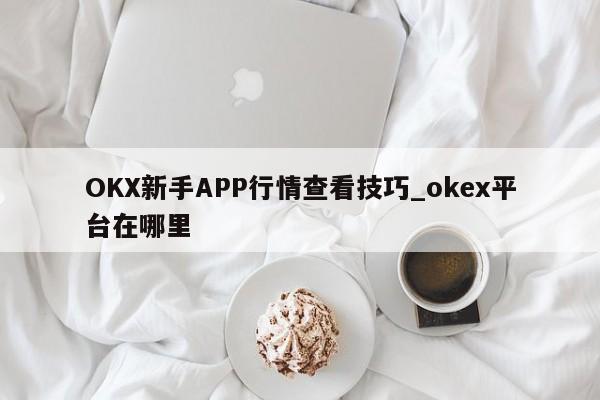 OKX新手APP行情查看技巧_okex平台在哪里-第1张图片-币选网
