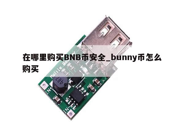 在哪里购买BNB币安全_bunny币怎么购买-第1张图片-币选网