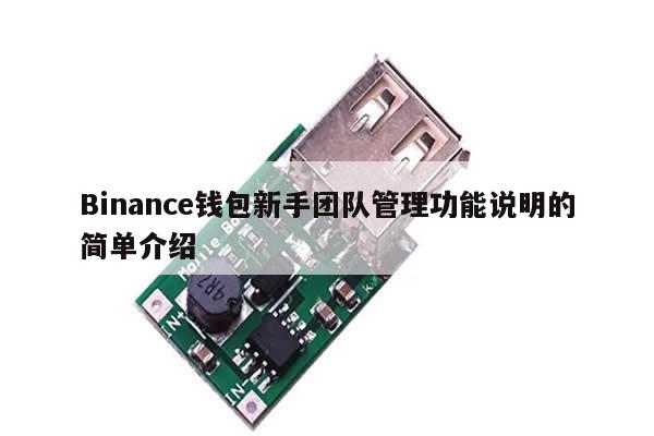 Binance钱包新手团队管理功能说明的简单介绍-第1张图片-币选网