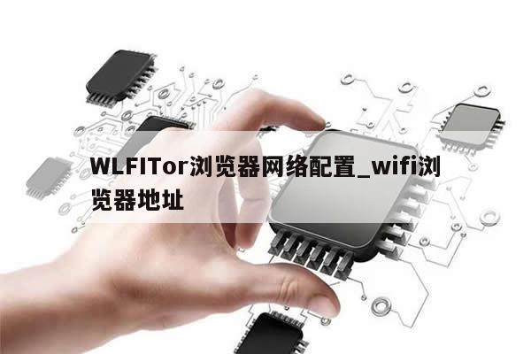 WLFITor浏览器网络配置_wifi浏览器地址-第1张图片-币选网