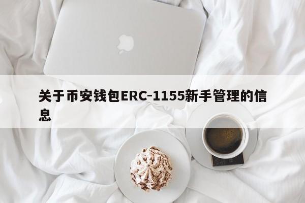 关于币安钱包ERC-1155新手管理的信息-第1张图片-币选网