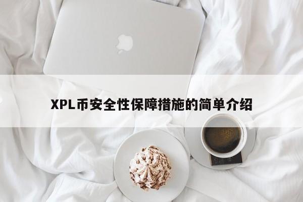 XPL币安全性保障措施的简单介绍-第1张图片-币选网