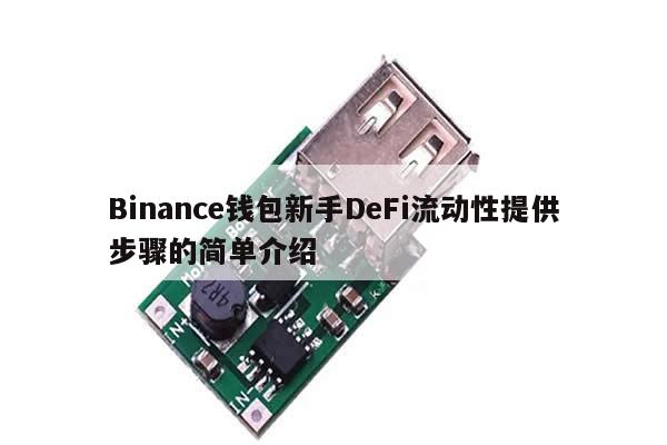 Binance钱包新手DeFi流动性提供步骤的简单介绍-第1张图片-币选网