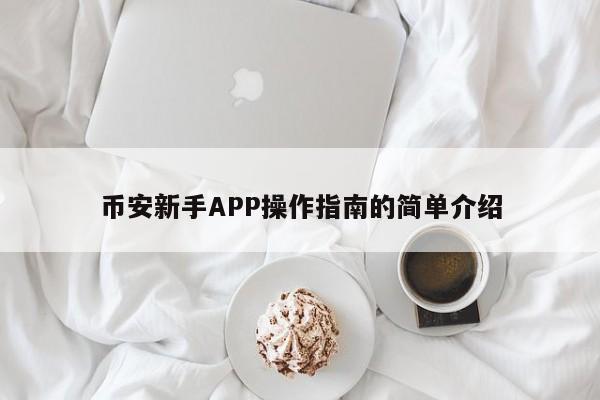 币安新手APP操作指南的简单介绍-第1张图片-币选网