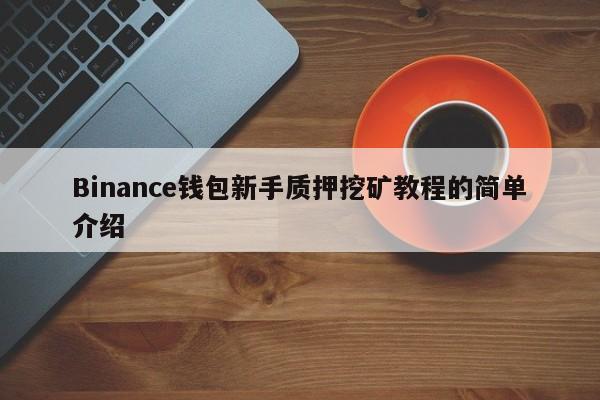 Binance钱包新手质押挖矿教程的简单介绍-第1张图片-币选网
